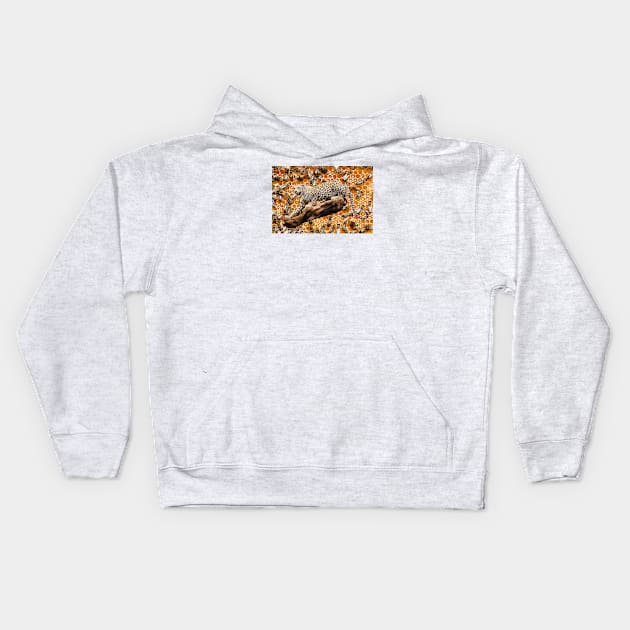 Jaguar in the beehive / Swiss Artwork Photography Kids Hoodie by RaphaelWolf